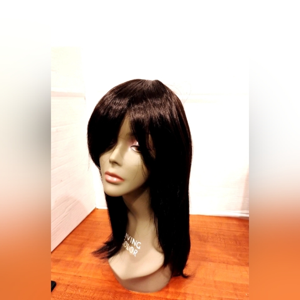 Elegant Black Women's Wig - Picture 1 of 7